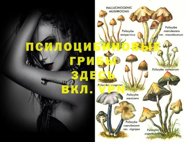 PSILOCYBIN Магас