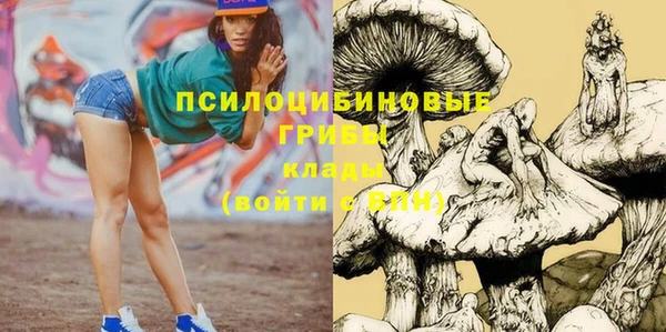 PSILOCYBIN Магас