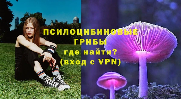 PSILOCYBIN Майский