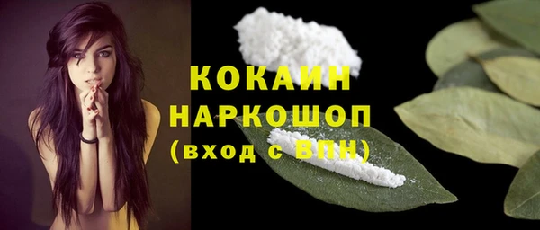 PSILOCYBIN Магас