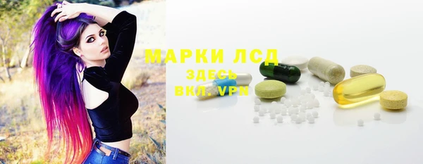 PSILOCYBIN Магас