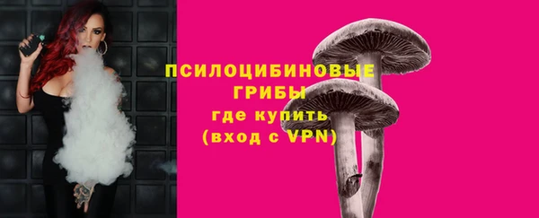 PSILOCYBIN Магадан