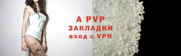 PSILOCYBIN Магас
