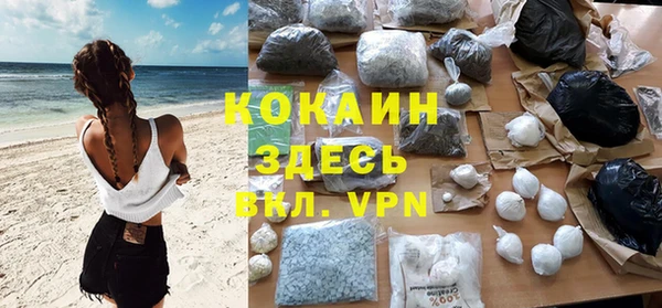 PSILOCYBIN Майский