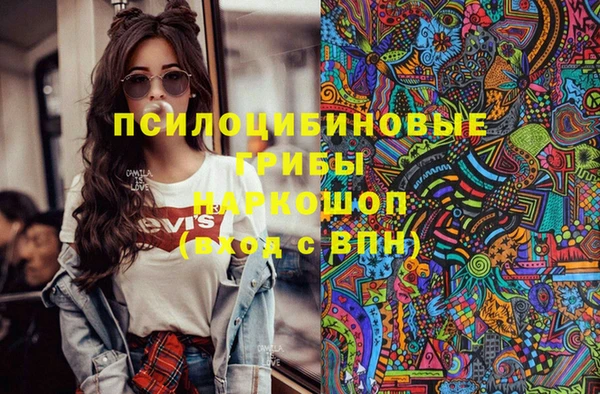 PSILOCYBIN Магас