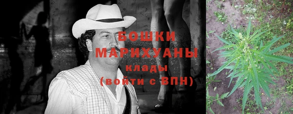 PSILOCYBIN Магас