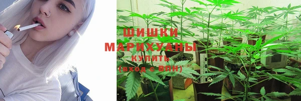 PSILOCYBIN Магадан