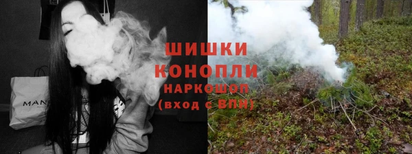 PSILOCYBIN Магас