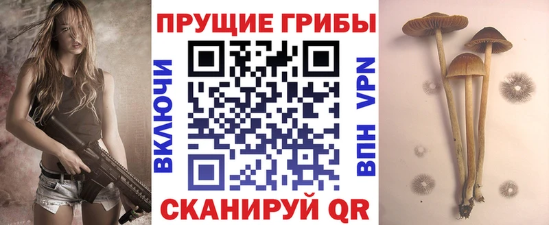 Галлюциногенные грибы MAGIC MUSHROOMS  Афипский 